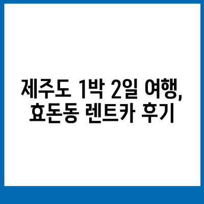 제주도 서귀포시 효돈동 렌트카 가격비교 | 리스 | 장기대여 | 1일비용 | 비용 | 소카 | 중고 | 신차 | 1박2일 2024후기