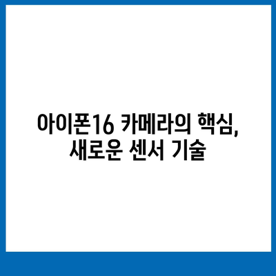 아이폰16 후면 카메라, 새로운 주요 센서로 놀라운 선명도