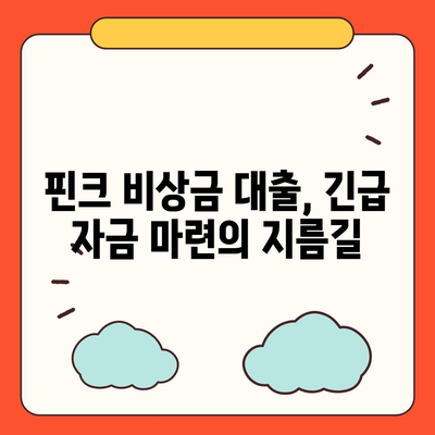 핀크 비상금 대출, 급할 때 딱! | 빠른 승인, 간편한 신청, 금리 비교