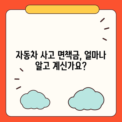 자동차 사고 시 면책금, 알아야 할 모든 것 | 보험, 사고, 면책, 손해