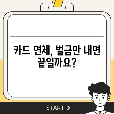 카드값 연체 전화 안 받으면? 😱  | 연체 대처법, 벌금, 신용등급, 해결방안