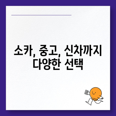 경기도 광명시 하안1동 렌트카 가격비교 | 리스 | 장기대여 | 1일비용 | 비용 | 소카 | 중고 | 신차 | 1박2일 2024후기