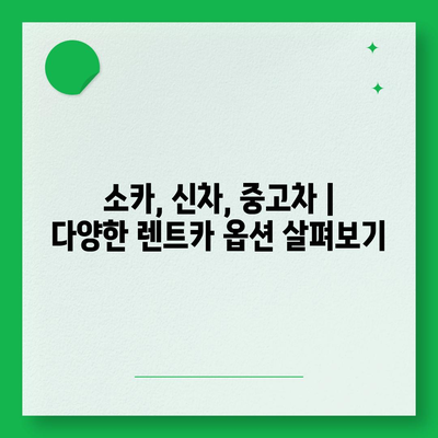 부산시 금정구 부곡1동 렌트카 가격비교 | 리스 | 장기대여 | 1일비용 | 비용 | 소카 | 중고 | 신차 | 1박2일 2024후기