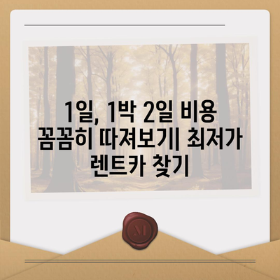 경기도 광주시 오포읍 렌트카 가격비교 | 리스 | 장기대여 | 1일비용 | 비용 | 소카 | 중고 | 신차 | 1박2일 2024후기