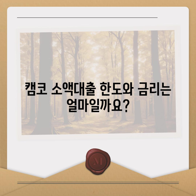 국민행복기금 캠코 소액대출 신청 가이드| 자격 조건, 한도, 금리, 필요 서류 완벽 정리 | 소액대출, 서민금융, 긴급자금, 캠코