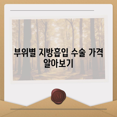 지방흡입 수술 가격 비교 가이드 | 지역별, 부위별, 병원별 정보