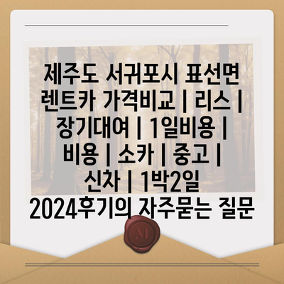 제주도 서귀포시 표선면 렌트카 가격비교 | 리스 | 장기대여 | 1일비용 | 비용 | 소카 | 중고 | 신차 | 1박2일 2024후기