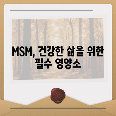 MSM 효능| 건강, 관절, 염증 완화를 위한 궁극의 가이드 | MSM, 건강 정보, 관절 건강, 염증 관리