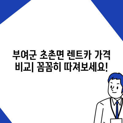 충청남도 부여군 초촌면 렌트카 가격비교 | 리스 | 장기대여 | 1일비용 | 비용 | 소카 | 중고 | 신차 | 1박2일 2024후기