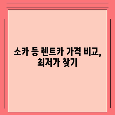 대구시 중구 남산4동 렌트카 가격비교 | 리스 | 장기대여 | 1일비용 | 비용 | 소카 | 중고 | 신차 | 1박2일 2024후기