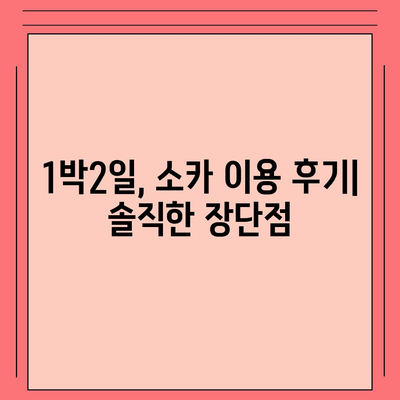 부산시 사상구 주례2동 렌트카 가격비교 | 리스 | 장기대여 | 1일비용 | 비용 | 소카 | 중고 | 신차 | 1박2일 2024후기