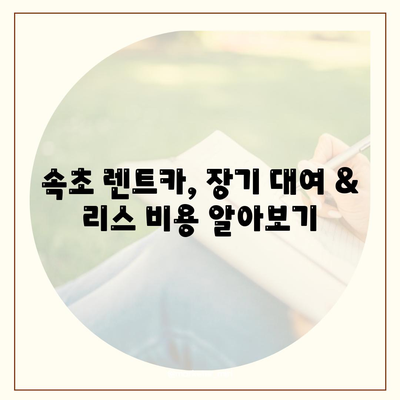 강원도 속초시 금호동 렌트카 가격비교 | 리스 | 장기대여 | 1일비용 | 비용 | 소카 | 중고 | 신차 | 1박2일 2024후기