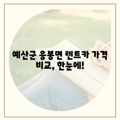 충청남도 예산군 응봉면 렌트카 가격비교 | 리스 | 장기대여 | 1일비용 | 비용 | 소카 | 중고 | 신차 | 1박2일 2024후기