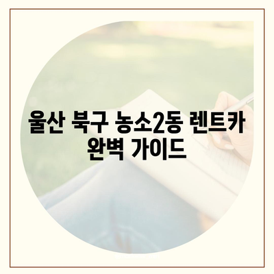 울산시 북구 농소2동 렌트카 가격비교 | 리스 | 장기대여 | 1일비용 | 비용 | 소카 | 중고 | 신차 | 1박2일 2024후기