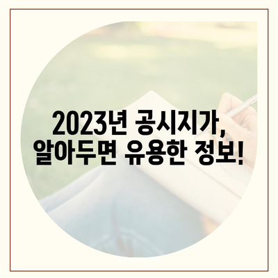 나에게 딱 맞는 2023년 공시지가 확인하기 | 부동산, 토지, 조회, 확인, 정보