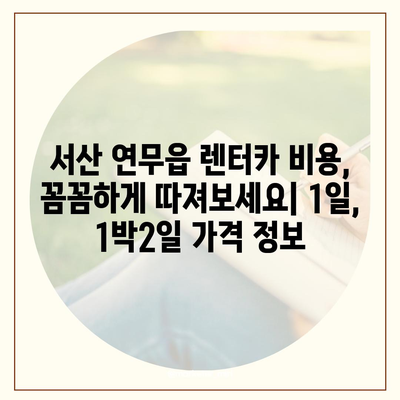 충청남도 서산시 연무읍 렌트카 가격비교 | 리스 | 장기대여 | 1일비용 | 비용 | 소카 | 중고 | 신차 | 1박2일 2024후기