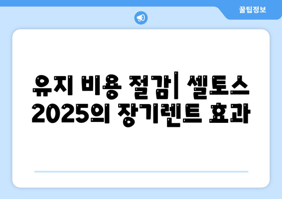 셀토스 2025 장기렌트 비용 대비 효과