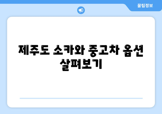 제주도 제주시 노형동 렌트카 가격비교 | 리스 | 장기대여 | 1일비용 | 비용 | 소카 | 중고 | 신차 | 1박2일 2024후기