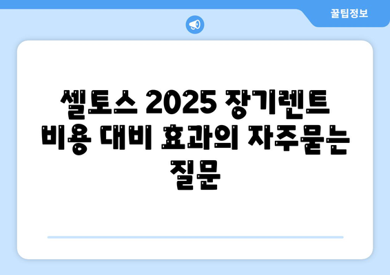 셀토스 2025 장기렌트 비용 대비 효과