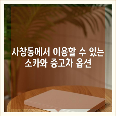 충청북도 청주시 서원구 사창동 렌트카 가격비교 | 리스 | 장기대여 | 1일비용 | 비용 | 소카 | 중고 | 신차 | 1박2일 2024후기