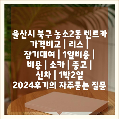 울산시 북구 농소2동 렌트카 가격비교 | 리스 | 장기대여 | 1일비용 | 비용 | 소카 | 중고 | 신차 | 1박2일 2024후기