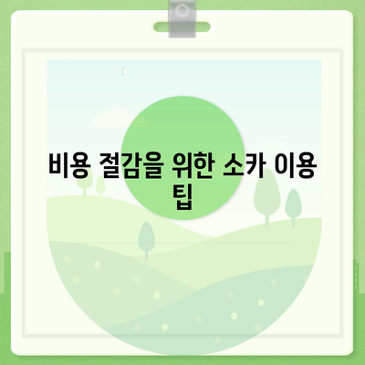 제주도 서귀포시 표선면 렌트카 가격비교 | 리스 | 장기대여 | 1일비용 | 비용 | 소카 | 중고 | 신차 | 1박2일 2024후기