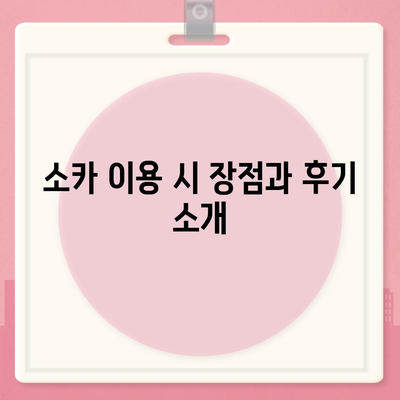 대전시 유성구 진잠동 렌트카 가격비교 | 리스 | 장기대여 | 1일비용 | 비용 | 소카 | 중고 | 신차 | 1박2일 2024후기