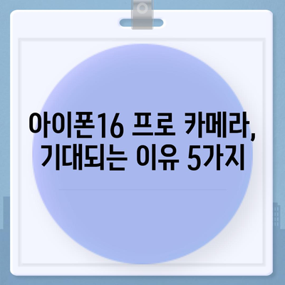 아이폰16 프로 카메라 기대 이유