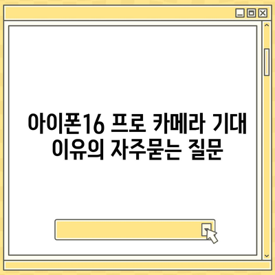 아이폰16 프로 카메라 기대 이유