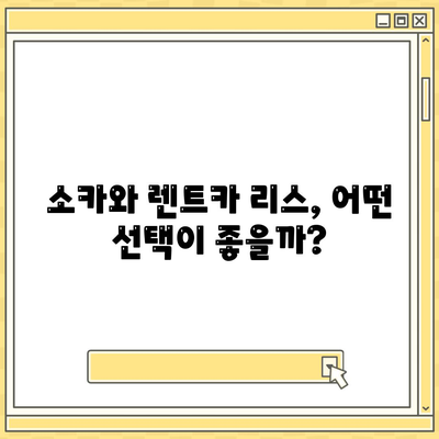 경기도 시흥시 정왕1동 렌트카 가격비교 | 리스 | 장기대여 | 1일비용 | 비용 | 소카 | 중고 | 신차 | 1박2일 2024후기