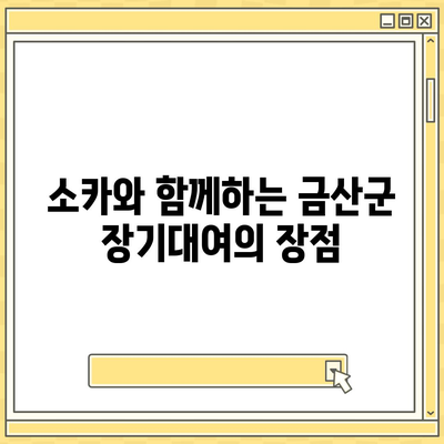 충청남도 금산군 금성면 렌트카 가격비교 | 리스 | 장기대여 | 1일비용 | 비용 | 소카 | 중고 | 신차 | 1박2일 2024후기