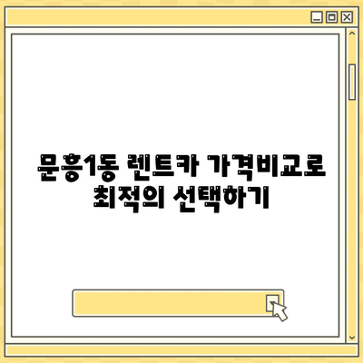 광주시 북구 문흥1동 렌트카 가격비교 | 리스 | 장기대여 | 1일비용 | 비용 | 소카 | 중고 | 신차 | 1박2일 2024후기