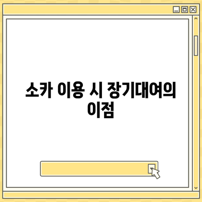 경기도 과천시 중앙동 렌트카 가격비교 | 리스 | 장기대여 | 1일비용 | 비용 | 소카 | 중고 | 신차 | 1박2일 2024후기