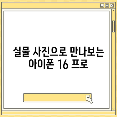 아이폰 16 프로 디자인, 출시일, 실제 모습