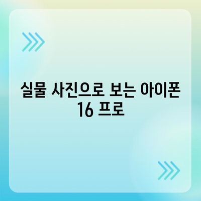 아이폰 16 프로 | 디자인과 출시일, 실물의 모습