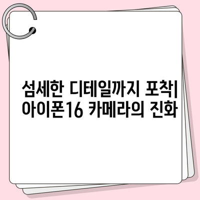 아이폰16 후면 카메라, 센서 업그레이드로 탁월한 품질