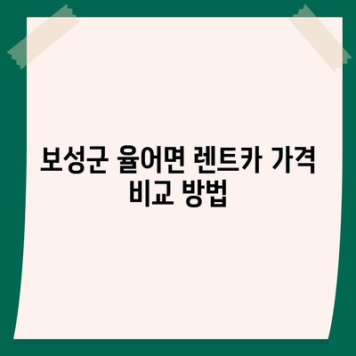 전라남도 보성군 율어면 렌트카 가격비교 | 리스 | 장기대여 | 1일비용 | 비용 | 소카 | 중고 | 신차 | 1박2일 2024후기