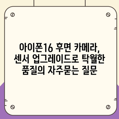 아이폰16 후면 카메라, 센서 업그레이드로 탁월한 품질