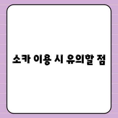 경기도 과천시 중앙동 렌트카 가격비교 | 리스 | 장기대여 | 1일비용 | 비용 | 소카 | 중고 | 신차 | 1박2일 2024후기