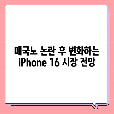 매국노 논란에 따른 iPhone 16에 대한 우려