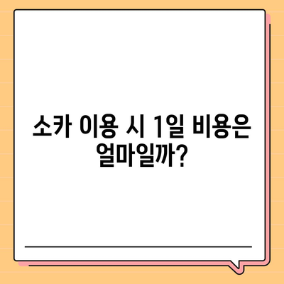 전라남도 진도군 군내면 렌트카 가격비교 | 리스 | 장기대여 | 1일비용 | 비용 | 소카 | 중고 | 신차 | 1박2일 2024후기