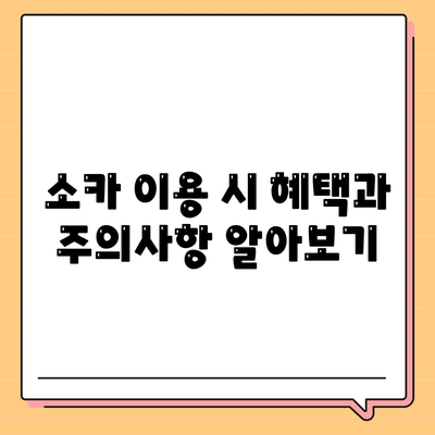 제주도 서귀포시 효돈동 렌트카 가격비교 | 리스 | 장기대여 | 1일비용 | 비용 | 소카 | 중고 | 신차 | 1박2일 2024후기