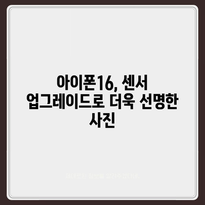 아이폰16 후면 카메라, 센서 업그레이드로 탁월한 품질