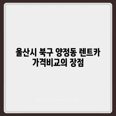 울산시 북구 양정동 렌트카 가격비교 | 리스 | 장기대여 | 1일비용 | 비용 | 소카 | 중고 | 신차 | 1박2일 2024후기