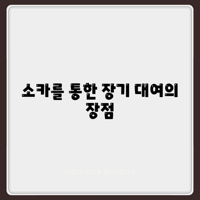 서울시 강남구 삼성2동 렌트카 가격비교 | 리스 | 장기대여 | 1일비용 | 비용 | 소카 | 중고 | 신차 | 1박2일 2024후기