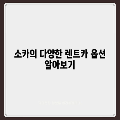 경기도 연천군 신서면 렌트카 가격비교 | 리스 | 장기대여 | 1일비용 | 비용 | 소카 | 중고 | 신차 | 1박2일 2024후기