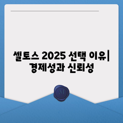 셀토스 2025 장기렌트 비용 대비 효과