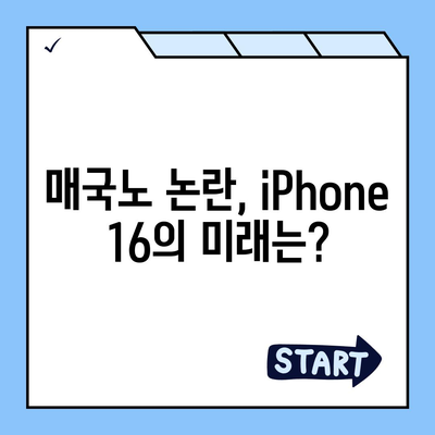 "매국노 논란"에 따른 iPhone 16에 대한 우려