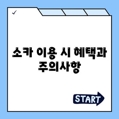 전라북도 김제시 황산면 렌트카 가격비교 | 리스 | 장기대여 | 1일비용 | 비용 | 소카 | 중고 | 신차 | 1박2일 2024후기