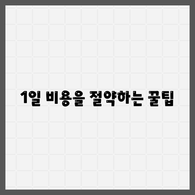 대전시 중구 대사동 렌트카 가격비교 | 리스 | 장기대여 | 1일비용 | 비용 | 소카 | 중고 | 신차 | 1박2일 2024후기